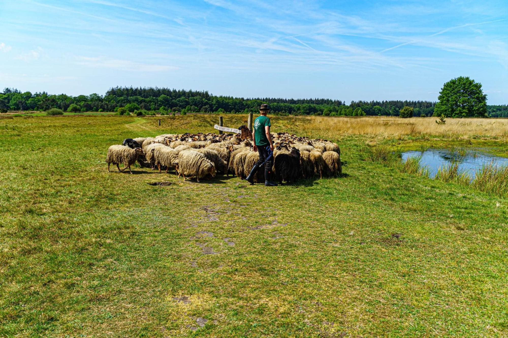 Mini Camping Drentse Monden Nieuw-Weerdinge Экстерьер фото