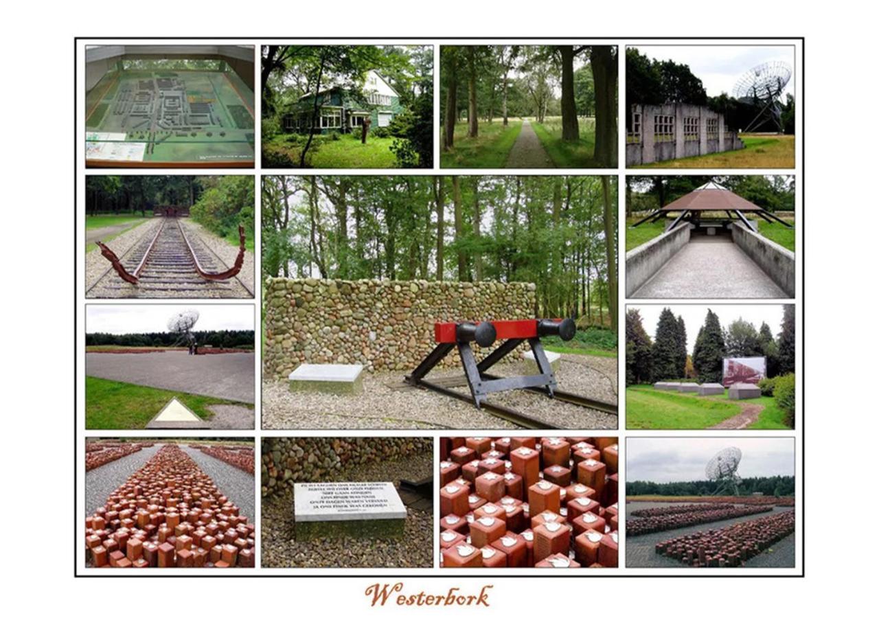 Mini Camping Drentse Monden Nieuw-Weerdinge Экстерьер фото